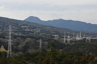 DSC_1202.JPG