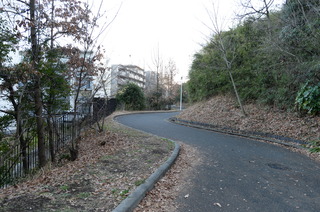DSC_1215.JPG