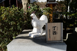 DSC_1231.JPG