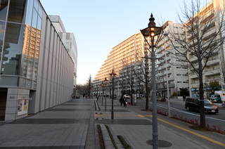 DSC_1239.JPG