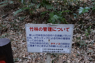 DSC_1324.JPG