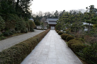DSC_1511.JPG