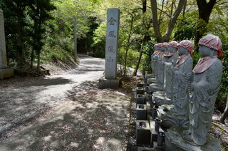 DSC_1522.JPG