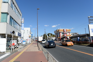 DSC_1531.JPG