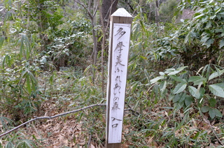 DSC_1559.JPG