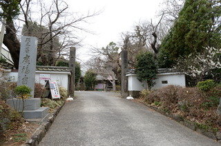 DSC_1630.JPG