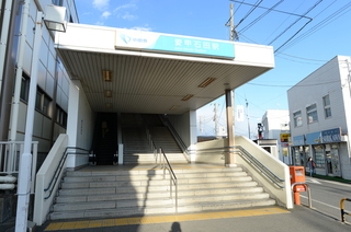 DSC_1702.JPG