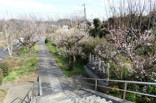 DSC_1879.JPG