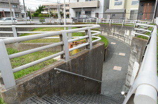 DSC_1882.JPG