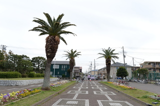 DSC_1888.JPG