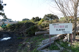 DSC_1915.JPG