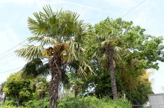 DSC_1941.JPG