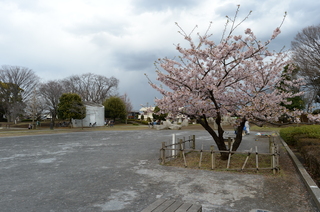 DSC_2016.JPG