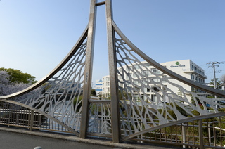 DSC_2019.JPG