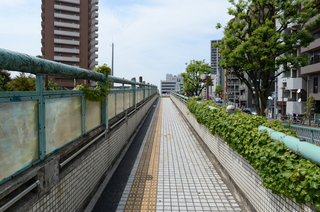 DSC_2041.JPG