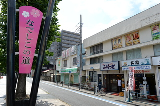 DSC_2111.JPG