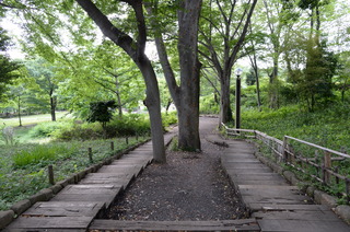 DSC_2160.JPG
