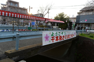 DSC_2219.JPG