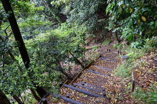 DSC_2229.JPG