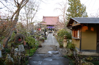DSC_2278.JPG
