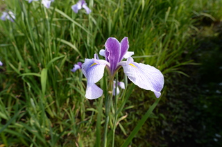 DSC_2312.JPG