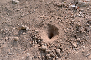 DSC_2332.JPG