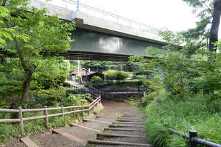 DSC_2334.JPG