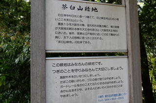 DSC_2350.JPG
