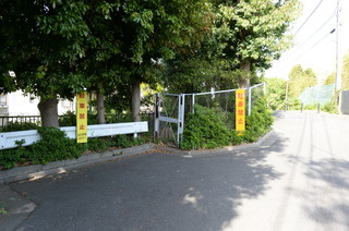 DSC_2352.JPG