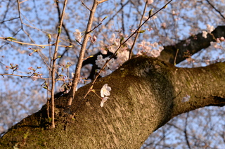DSC_2353.JPG