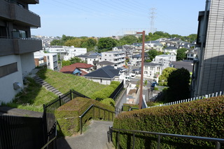 DSC_2355.JPG