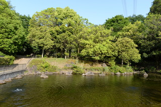DSC_2401.JPG