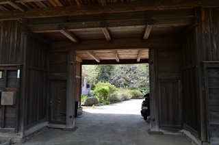 DSC_2450.JPG
