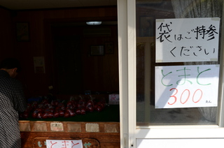 DSC_2483.JPG