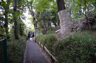 DSC_2524.JPG