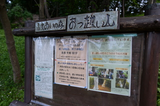 DSC_2526.JPG