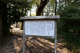 DSC_2574.JPG
