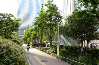 DSC_2581.JPG