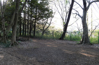 DSC_2600.JPG