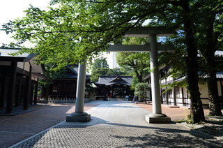 DSC_2603.JPG