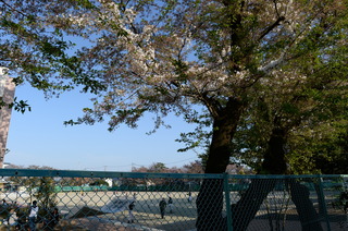 DSC_2615.JPG