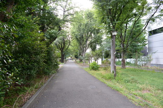 DSC_2683.JPG
