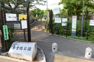 DSC_2702.JPG