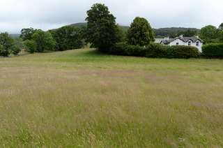 DSC_2732.JPG