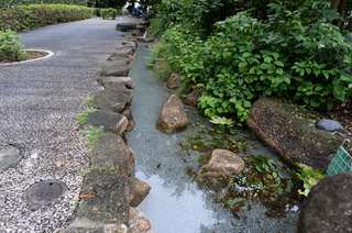 DSC_2760.JPG