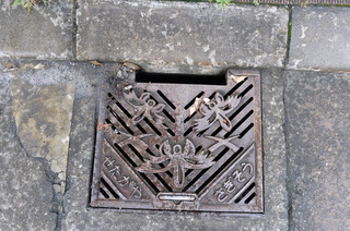 DSC_2770.JPG