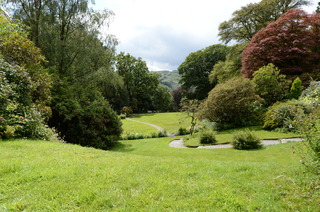 DSC_2810.JPG