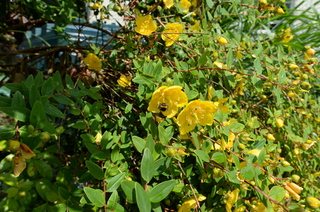 DSC_2812.JPG