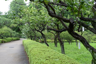 DSC_2892.JPG
