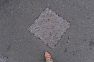 DSC_2929.JPG
